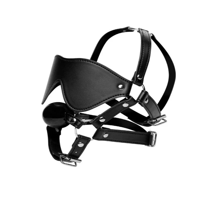 Blindfold Harness and Black Ball Gag