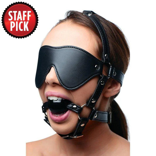 Blindfold Harness and Black Ball Gag